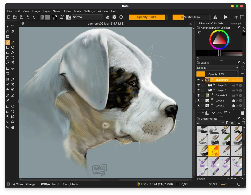 Desenho finalizado no Krita após tutorial para iniciantes