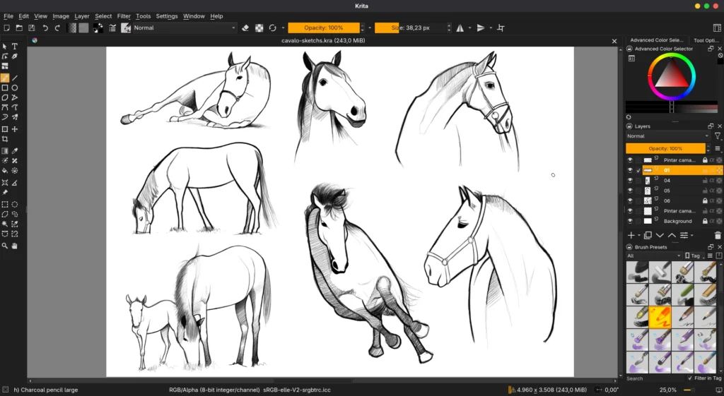 Krita para iniciantes com desenho digital sendo criado no programa